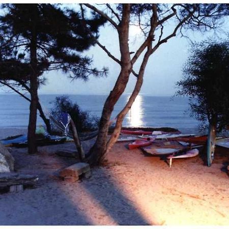Domaine De L'Avidanella Apartman Santa-Lucia-di-Moriani Kültér fotó