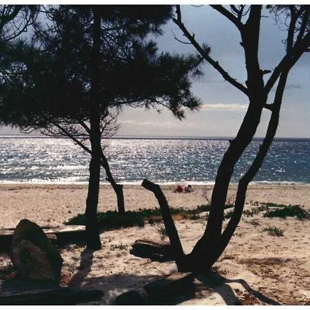 Domaine De L'Avidanella Apartman Santa-Lucia-di-Moriani Kültér fotó