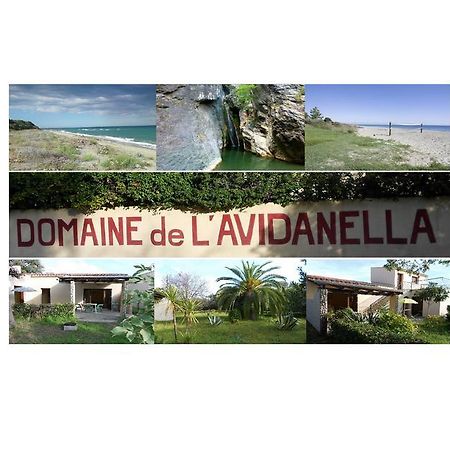 Domaine De L'Avidanella Apartman Santa-Lucia-di-Moriani Kültér fotó
