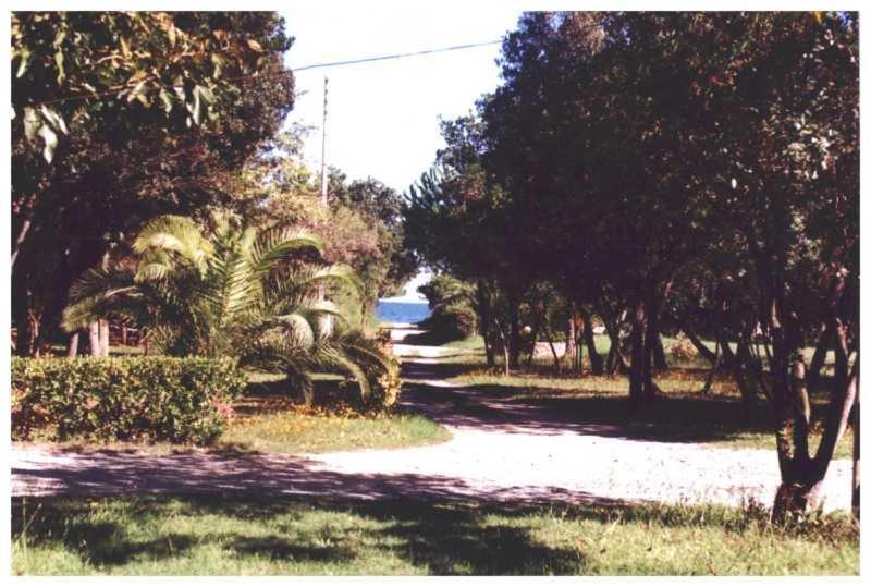 Domaine De L'Avidanella Apartman Santa-Lucia-di-Moriani Kültér fotó