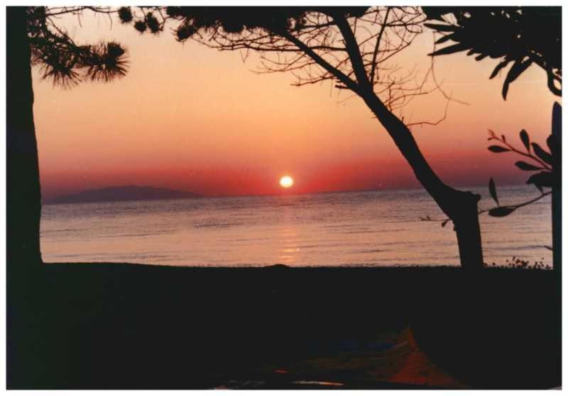 Domaine De L'Avidanella Apartman Santa-Lucia-di-Moriani Kültér fotó
