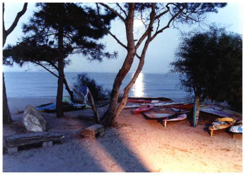 Domaine De L'Avidanella Apartman Santa-Lucia-di-Moriani Kültér fotó