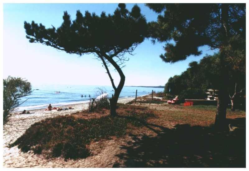 Domaine De L'Avidanella Apartman Santa-Lucia-di-Moriani Kültér fotó