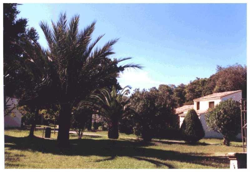 Domaine De L'Avidanella Apartman Santa-Lucia-di-Moriani Kültér fotó