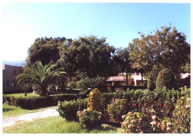 Domaine De L'Avidanella Apartman Santa-Lucia-di-Moriani Kültér fotó