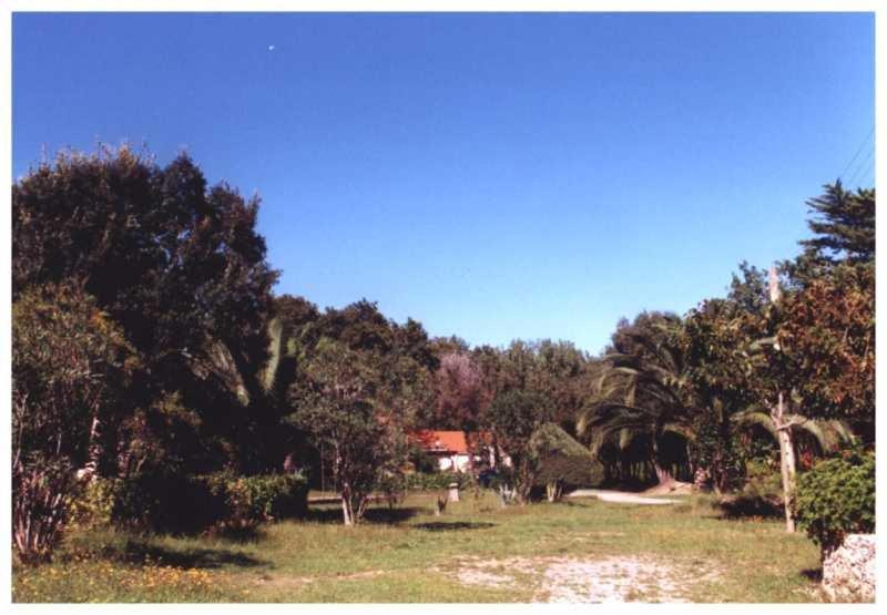 Domaine De L'Avidanella Apartman Santa-Lucia-di-Moriani Kültér fotó