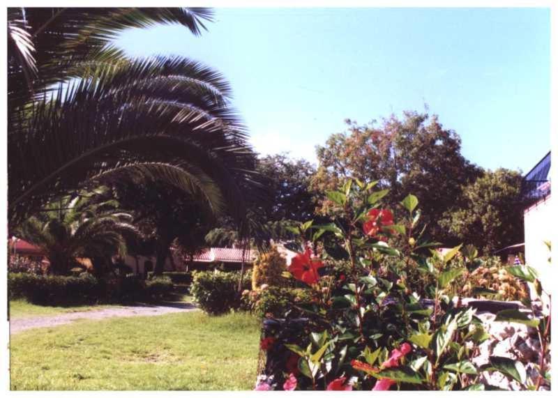 Domaine De L'Avidanella Apartman Santa-Lucia-di-Moriani Kültér fotó