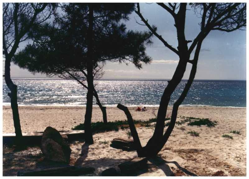 Domaine De L'Avidanella Apartman Santa-Lucia-di-Moriani Kültér fotó