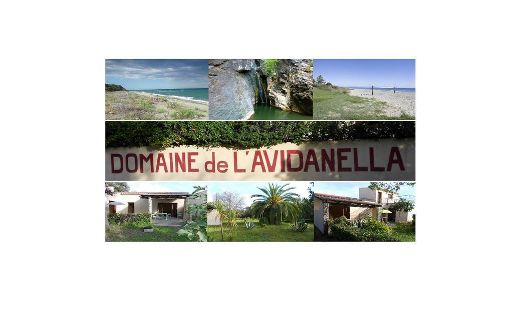 Domaine De L'Avidanella Apartman Santa-Lucia-di-Moriani Kültér fotó