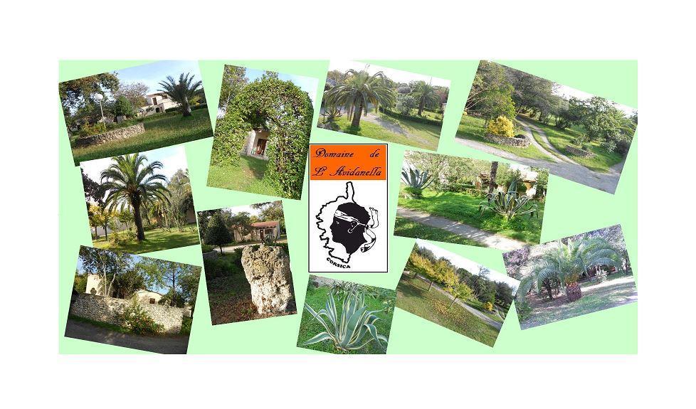 Domaine De L'Avidanella Apartman Santa-Lucia-di-Moriani Kültér fotó
